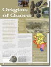  Origins of Quorn - view PDF 