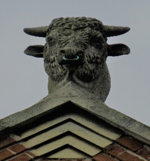  bull's head 